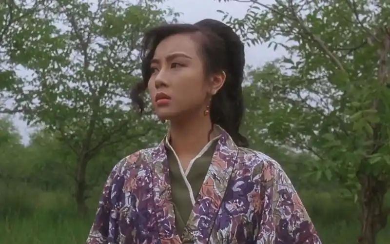 袁洁莹个人向电影剪辑太极张三丰片段