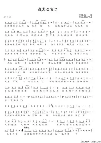 《我怎么哭了》简谱