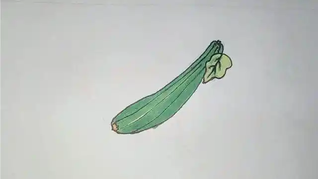 丝瓜简笔画 丝瓜简笔画图片带颜色