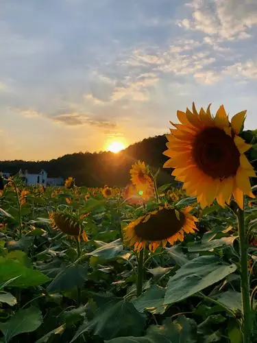 我们踏上了有感反馈的希望之旅,朝着希望之路出发,在这充满希望的大道