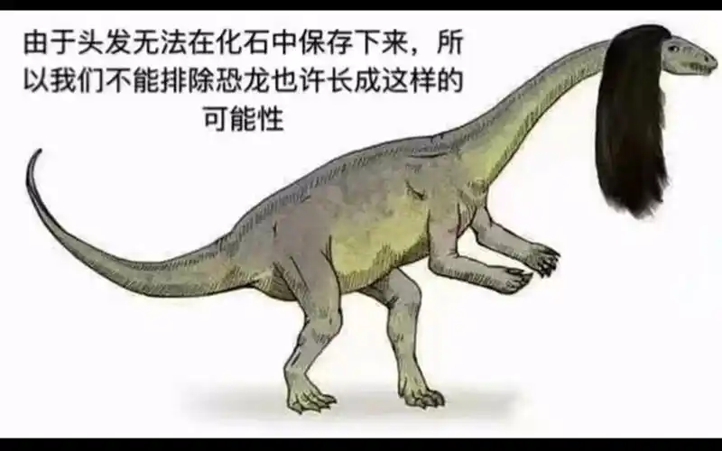 那些笑到肚子疼的沙雕图(第四期)