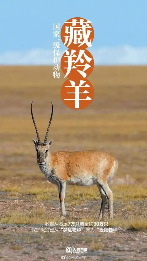 我国一批珍稀动物喜提降级!_多样性