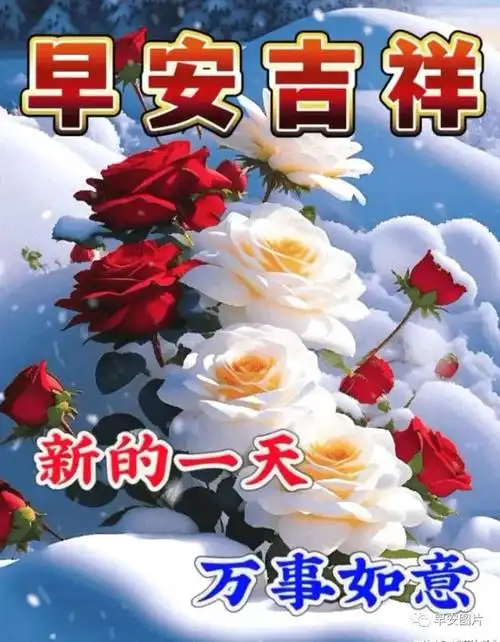 12月10日你好早安漂亮图片问候祝福语|快乐|甜蜜|幸福|早上好_网易