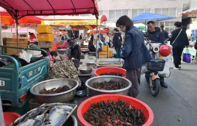 鲜活小龙虾跳上餐桌你尝鲜了吗