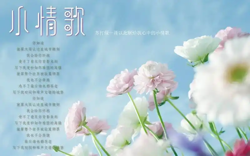 小情歌|平面|字体/字形|aimadiben - 原创作品 - 站酷 (zcool)