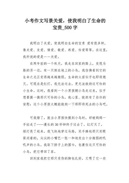 小考作文写景关爱使我明白了生命的宝贵500字