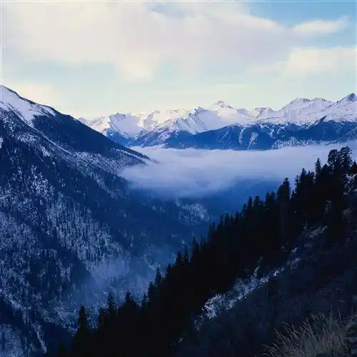 最美的风景微信头像图片