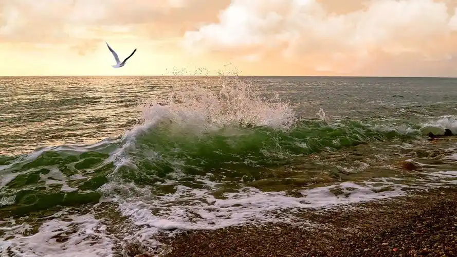 波涛汹涌的大海