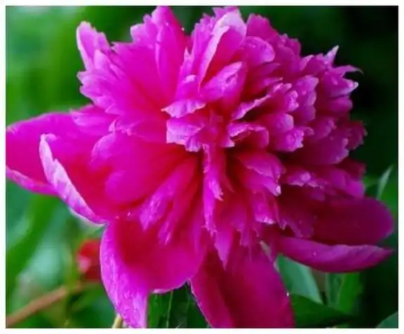 未来10天,金银满库,横财缠身,吉祥富贵,催发财运的4大属相