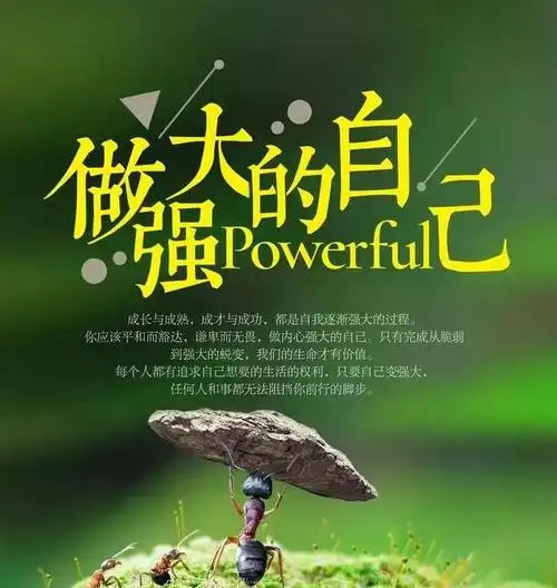 思维正能量的句子顶尖思维正能量语录