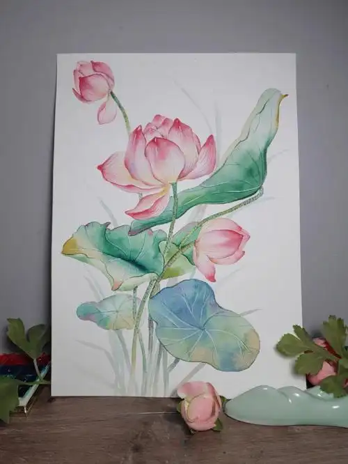 玉米子#水彩画教程  #画画  #水彩  #寻找小红书绘画大神  #荷花摄影