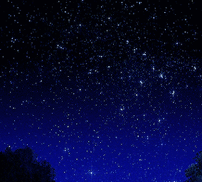 300_270gif 动态图 动图