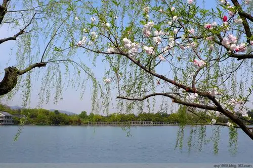 【江南美景】杭州西湖苏堤春晓