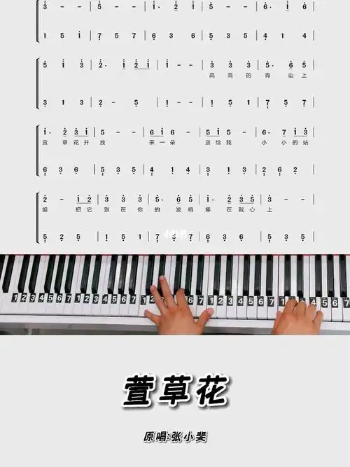 萱草花钢琴简谱教学零基础版