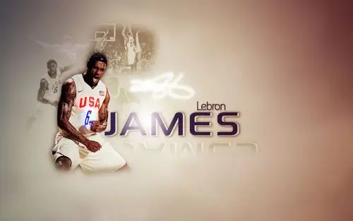 nba超级巨星詹姆斯,高清图片,电脑桌面-壁纸族