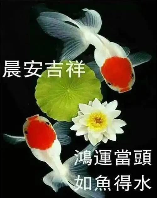 创意的秋天早上好说说祝福语,早安问候语图片带字