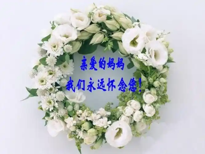 永远的爱---清明时节怀念母亲