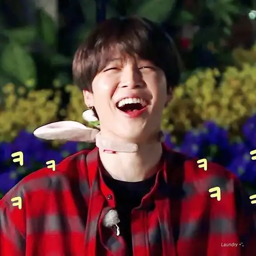 jimin 朴智旻 bts 防弹少年团 看着就仿佛听见了笑声