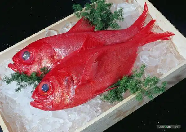 请问这是什么鱼?