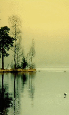 240_400竖版 竖屏gif 动态图 动图