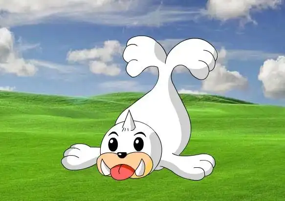 小海狮词条图册_百度百科