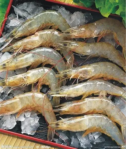 南美鲜虾图片[摄影图,jpg]