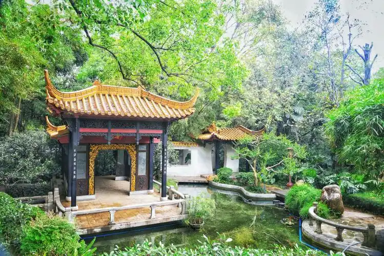 广州兰圃公园 - 美篇