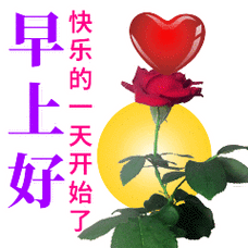 周五祝福朋友早上好唯美图片可爱漂亮的早上好表情包大全