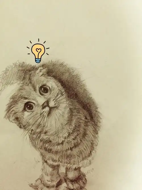 手绘铅笔 猫