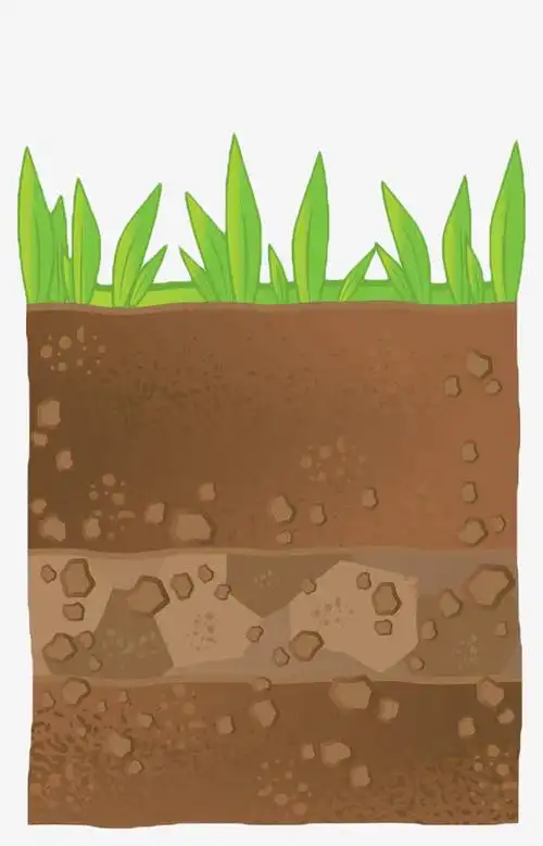 关键词 : 土壤,土壤剖面,土地,泥土,植物,手绘,草丛[声明] 觅元素所有