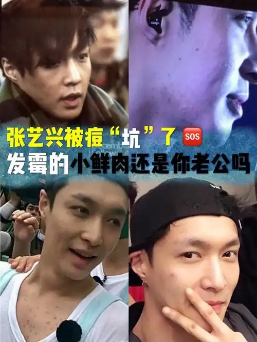 所以能理解张艺兴粉丝的情绪,毕竟张艺兴的黑粉号,现在都有94w粉丝了.