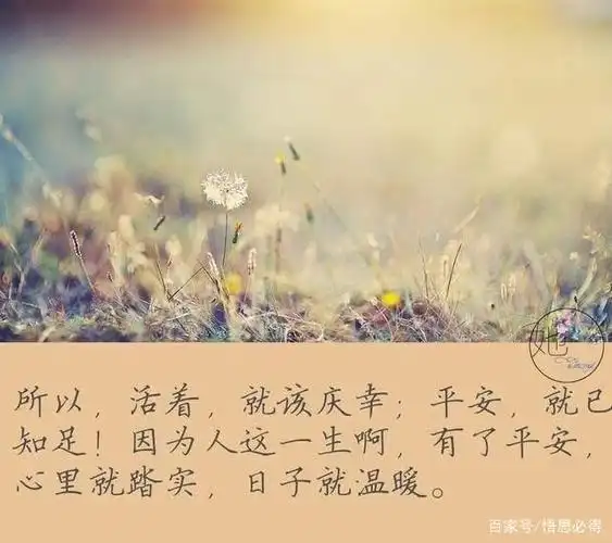 平淡是真,简单是福,盲目攀比活得累