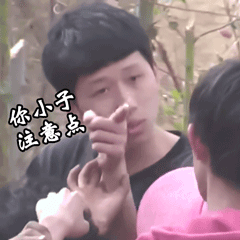王境泽指人警告表情包