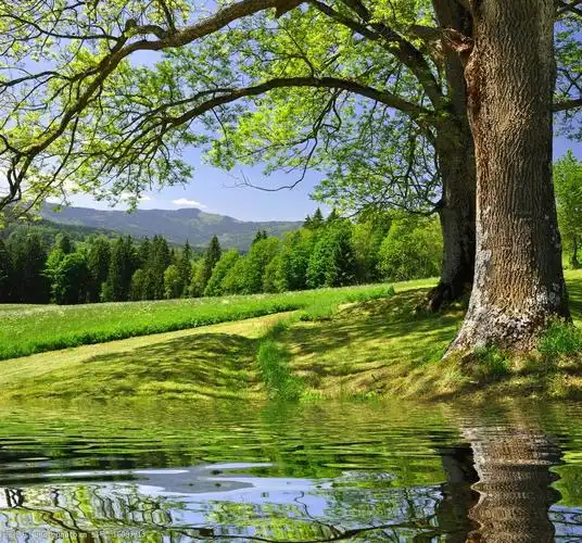 蓝天白云绿野河水大树图片