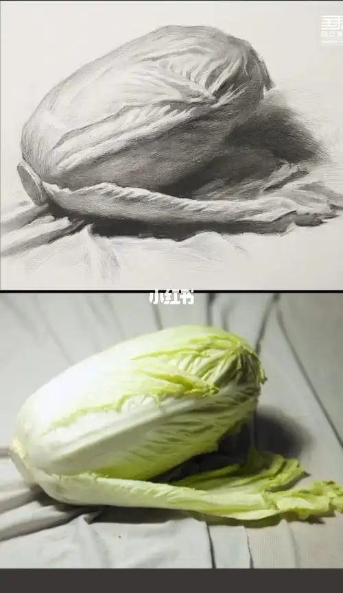 素描静物中考美术大白菜