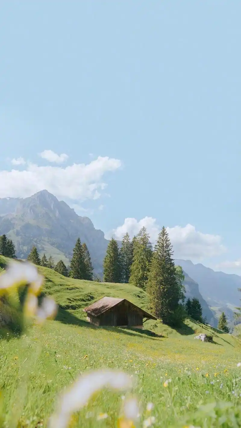 小清新夏日旅行风光手机壁纸_风景_手机壁纸下载_美桌网