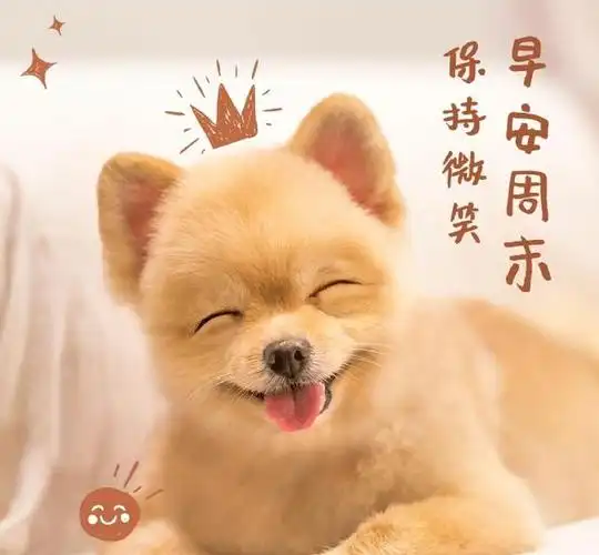 周六清晨最暖心的早安祝福语短信,很漂亮的早上好问候语图片