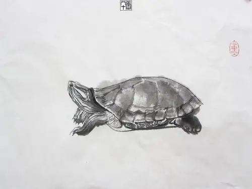 一鼓才呜,看乌龟,波上呈祥,眼眩昭彰.会戏澄涛,游踏澄浪.