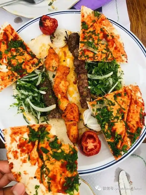 那些简单接地气的菜谱 | 黎巴嫩菜papa ghanoush