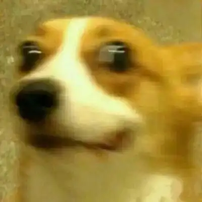 超级沙雕闺蜜头像你爱了吗