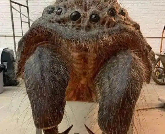 龙岭迷窟人面蜘蛛是李淳风用来守护自己的墓真相很简单