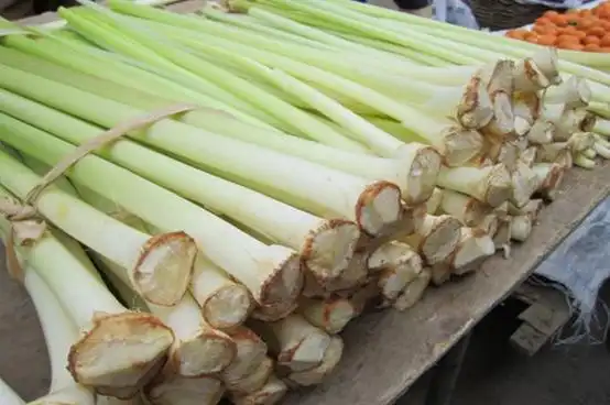 蒲菜饺子,清炒蒲菜,蒲菜炒豆腐等等一些家常菜或是随便就可以吃到的