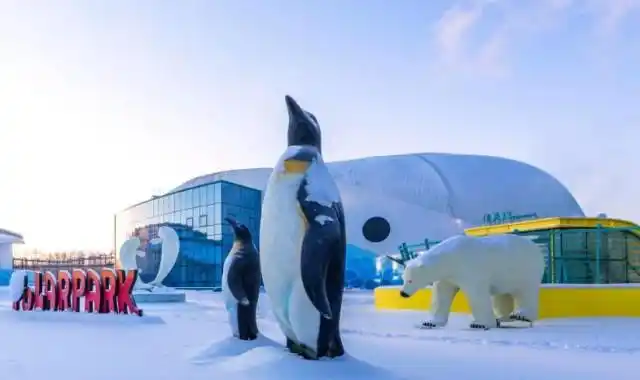 哈尔滨极地公园61极地馆2期