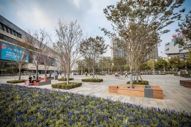 [分享]树阵景观,居然还能这么美!