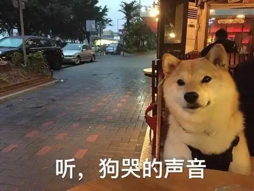 狗语10级带你走进汪星人的内心世界忍住别笑