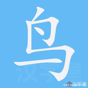 鸟的笔顺鸟字怎么写附笔顺动画
