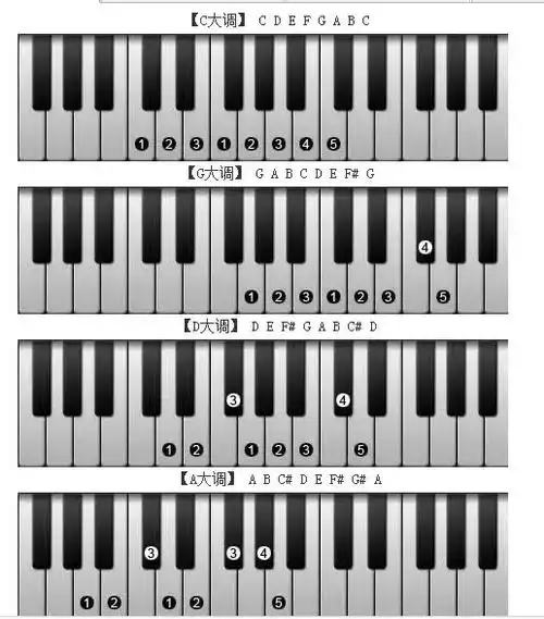 电子琴上哪个键是1234567?这里有你想知道的答案!