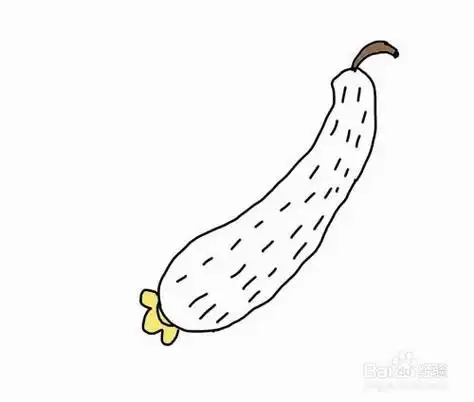黄瓜简笔画儿歌与知识怎么画彩色简笔画黄瓜黄瓜简笔画步骤图解教程及