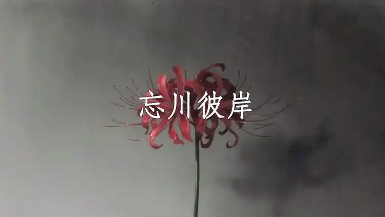 【东尼指弹】忘川彼岸