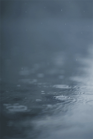 rain - 堆糖,美图壁纸兴趣社区
